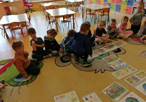 Grupa Biedronek