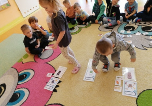 Grupa Biedronek