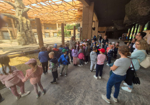 Wizyta dzieci w ZOO.