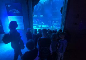 Wizyta dzieci w ZOO - oceanarium.