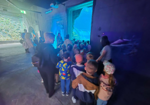 Wizyta dzieci w ZOO - oceanarium.