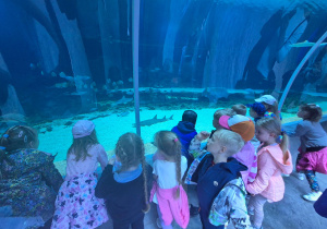 Wizyta dzieci w ZOO - oceanarium.