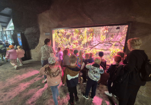 Wizyta dzieci w ZOO - oceanarium.