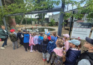 Wizyta dzieci w ZOO.