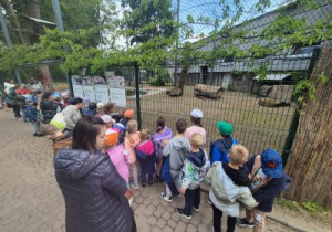 Wizyta dzieci w ZOO.