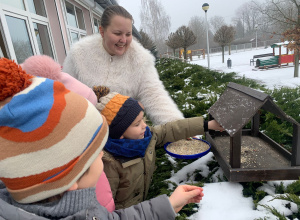Motyli pomagają ptakom przetrwać zimę