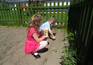 Dziewczynka i chłopiec wsypują nasionka do grządki