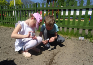 Dziewczynka i chłopiec wsypują sobie nasionka na rękę