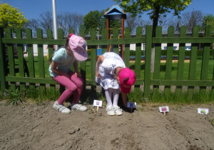 Dwie dziewczynki wkładają podpisy do ziemi