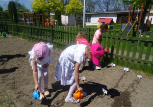 Cztery dziewczynki trzymają konewki i podlewają w ogródku