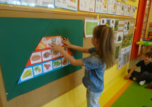 Dziewczynka przypina do tablicy jeden z elementów piramidy zdrowia