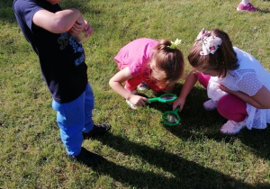 Dzieci oglądają krople rosy przez lupę.