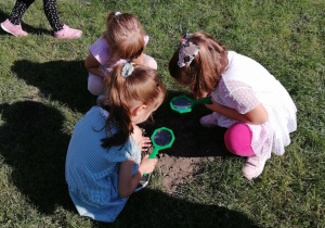 Dzieci oglądają przez lupę owady