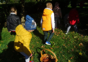 Dzieci zbierają kasztany.