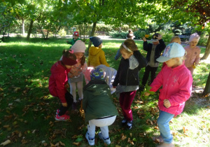 Dzieci zbierają liście z pod drzew.