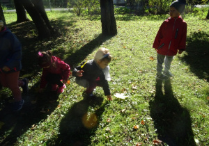 Dzieci zbierają liście z pod drzew.