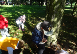 Dzieci zbierają kasztany w parku.