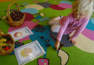Dziewczynka układa pod ilustracją kompozycje z kasztanów.