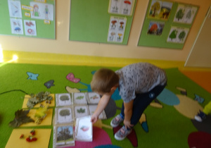 Chłopiec dopasowuje ilustracje drzewa, liść i owoc.