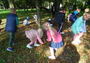 Rozproszona grupa dzieci zbiera kasztany w parku. Dziewczynka w różowej kurtce trzyma w ręku koszyk do którego wrzuca kasztany.