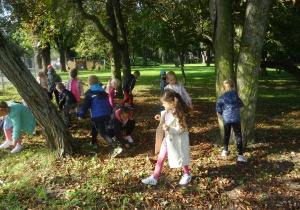 Rozproszona grupa dzieci w parku zbiera kasztany, W tle widać drzewa.