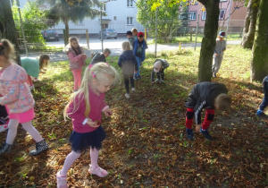 Rozproszona grupa dzieci w parku zbiera kasztany.
