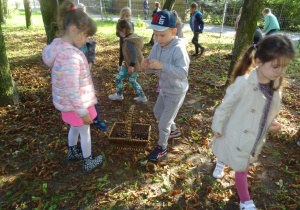 Rozproszona grupa dzieci zbiera kasztany w parku. Na ziemi stoi koszyk.