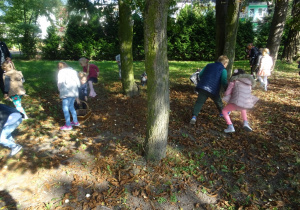 Rozproszona grupa dzieci zbiera kasztany w parku. Na ziemi stoi koszyk, do którego dzieci wrzucają kasztany.