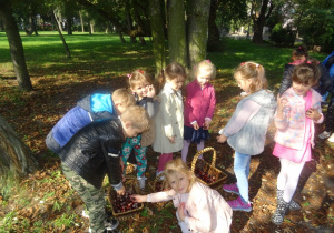Rozproszona grupa dzieci zbiera kasztany w parku. Na ziemi stoją koszyki, do których dzieci wrzucają kasztany. W tle widać drzewa.