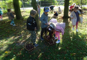 Rozproszona grupa dzieci zbiera kasztany w parku.