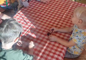 dzieci wkładają wykałaczki w kasztana tworząc Jeża