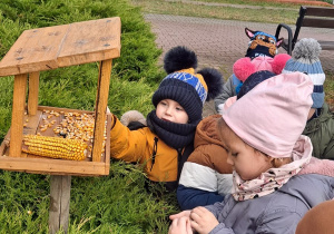 dzieci wsypują nasionka do karmnika dla ptaków