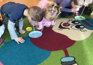 dzieci za pomocą słomek przenoszą kółeczka z talerzyka do pudełka