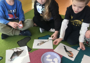 dzieci na dywanie oglądają zimujące ptaki i liczą ile liter ma dany wyraz