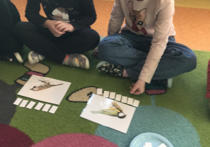 dzieci na dywanie oglądają zimujące ptaki i liczą ile liter ma dany wyraz