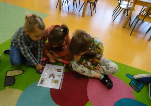 grupka dzieci oglądała ilustrację z kura i sposobem jej hodowli