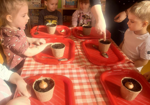 dzieci przy stolikach sadzą nasiona i cebule przygotowane przez panią, każdy ma swoją doniczkę
