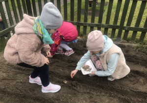 dziewczynki sieją nasiona w przygotowane miejsce na grządce