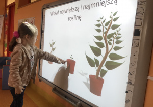 dziewczynka wskazuje najmniejszą roślinę na ekranie