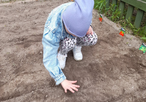 dzieci sieją nasiona na grządkach