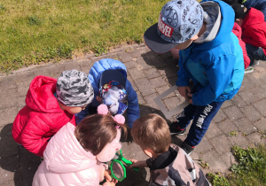 grupa dzieci na chodniku ogląda pod lupą grupę mrówek