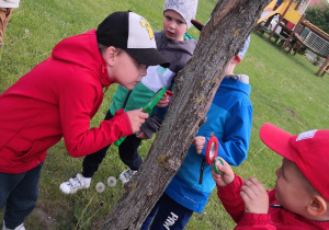 dzieci lupami oglądają pobliskie drzewa czy są tam jakieś owady