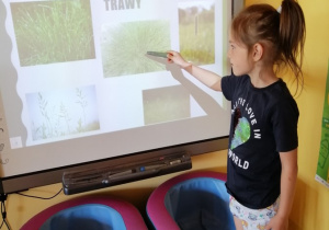 dzieci poznają rodzaje traw, które można spotkać na łąkach