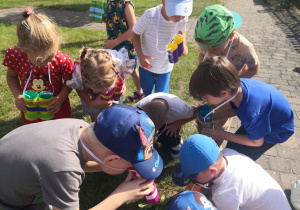 Dzieci prowadziły obserwacje przyrodnicze w ogrodzie przedszkolnym.