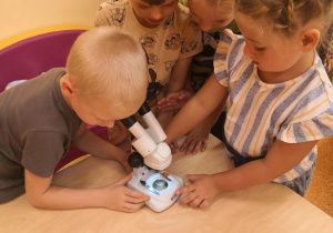 Przedszkolaki poznały działanie mikroskopu.