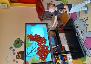 Chłopiec wskazuje za pomocą wskaźnika na jarzębine wyświetloną na monitorze interaktywnym.