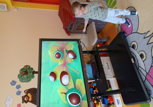 Chłopiec wskazuje za pomocą wskaźnika na kasztana wyświetlonego na monitorze interaktywnym.