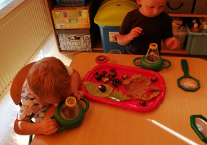 Dzieci siedzą przy stoliku, na stoliku znajdują się dwie tacki z darami jesieni, jeden chłopiec ogląda dary jesieni przez mini mikroskop.