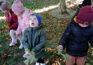 Dzieci są na spacerze w parku, zbierają liście.