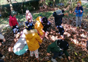 Dzieci są na spacerze w parku, zbierają liście, podrzucją liście do góry.
